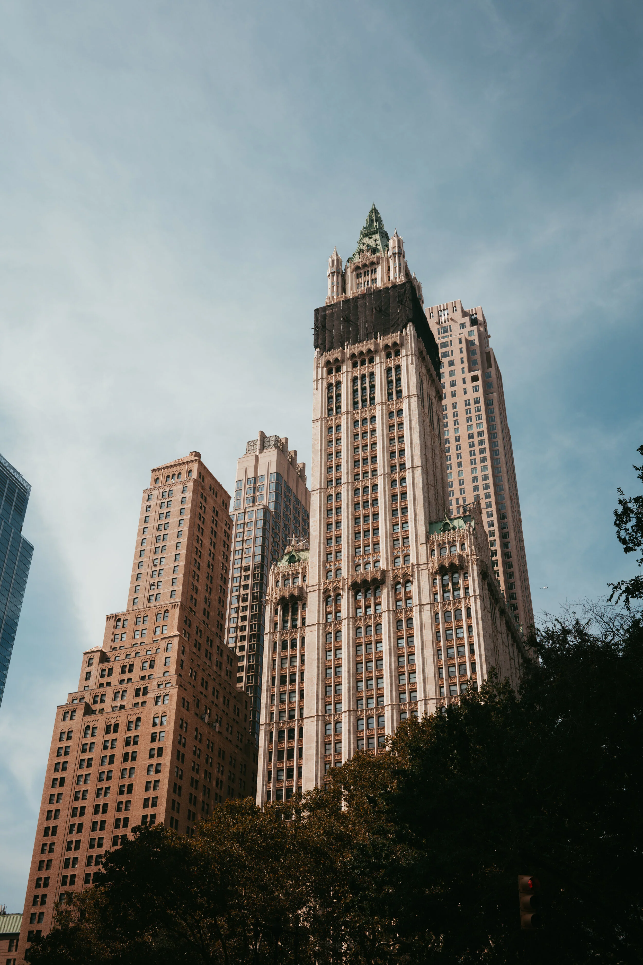 image-asset (1).jpeg