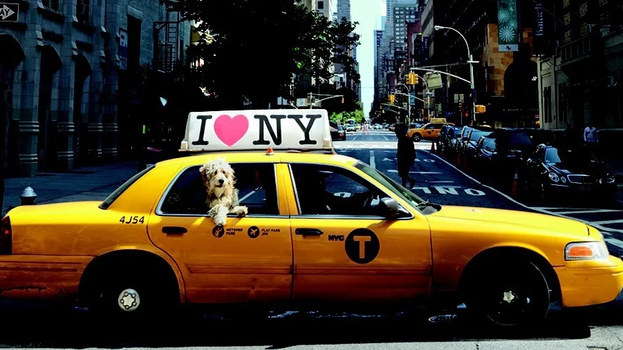 04_698-4_cover_ny-city-dogs_ZWei_zu_Eins-98ccd5f5720ae475.jpeg