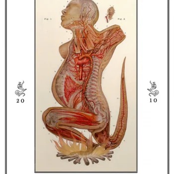 Sole & Ravi Zupa "The Pyre"