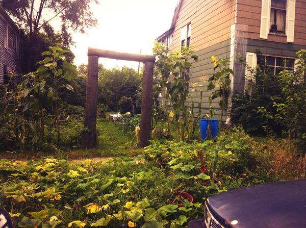 (squatted community garden in Detroit)