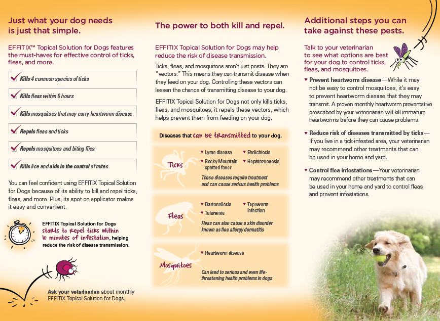 EFFITIX: Topical Solution for Dogs (2)
