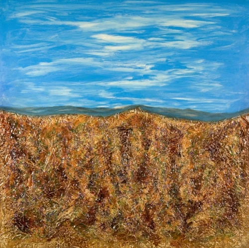 Yorkshire Moor