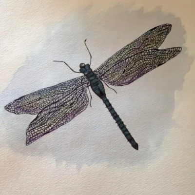 Dragonfly