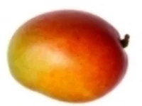 MANGO Our Mango Kombucha is bursting with flavor. Slightly sweet and incredibly delicious. Mangoes have antioxidant compounds that have been found to protect against colon, breast, colon, leukemia, and prostate cancers.