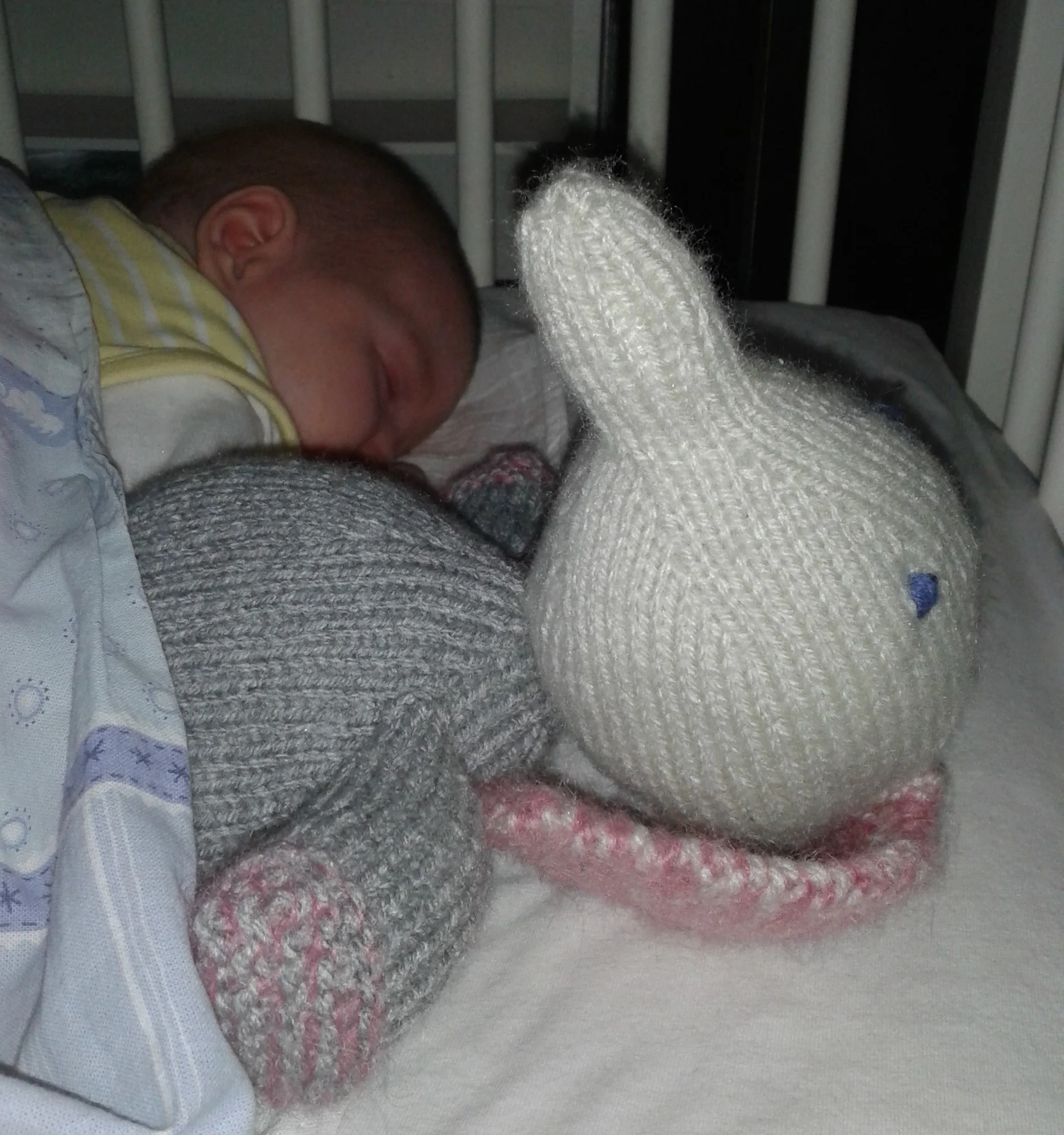 12 Months of Knitting -  June