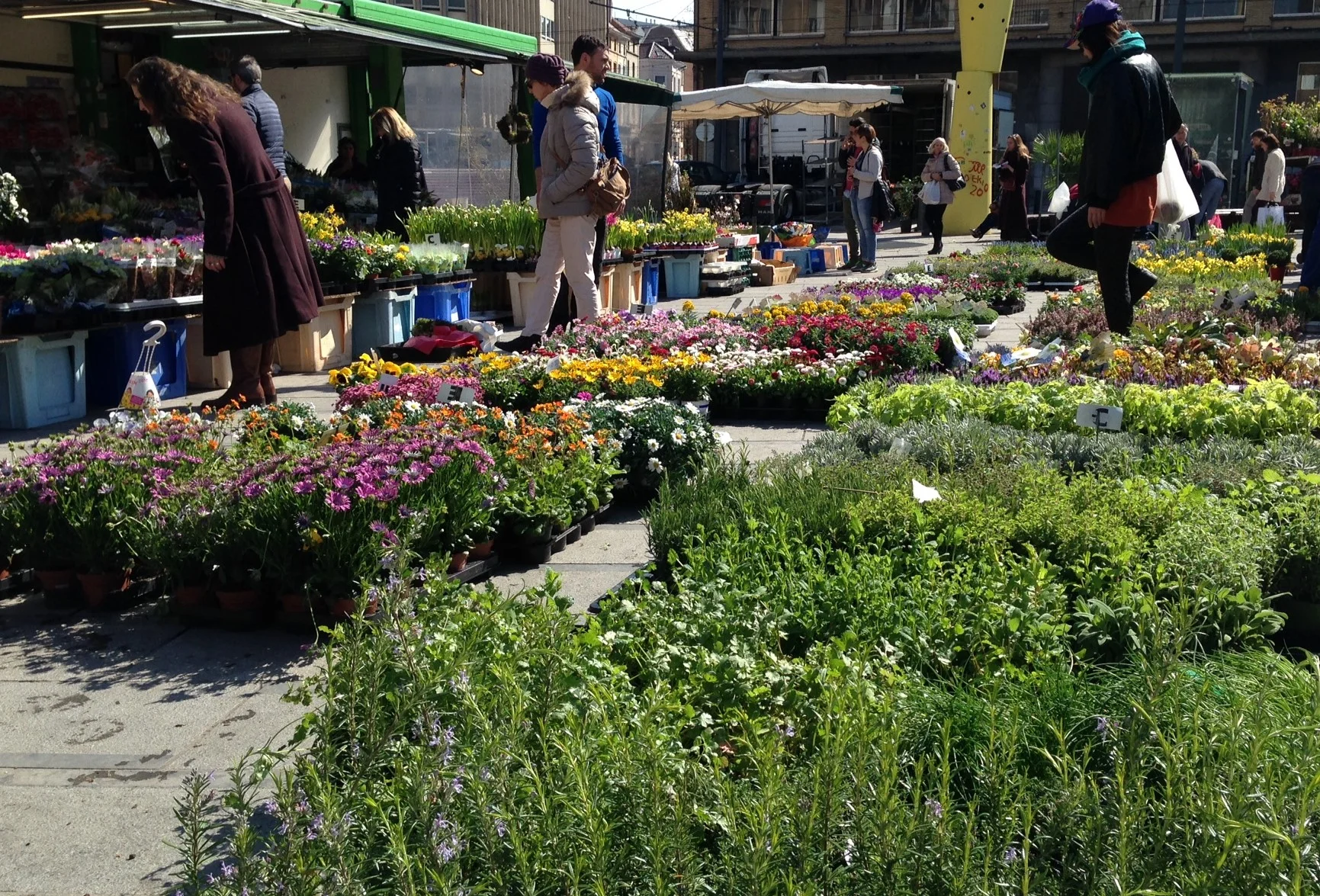 A Market's Day in Brussels