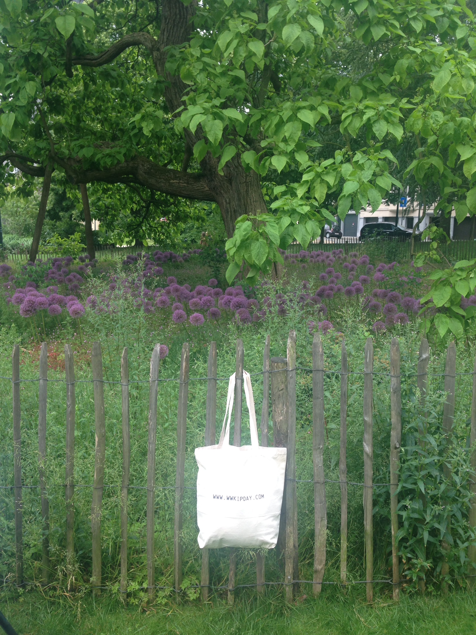 WWKIP bag in park.JPG