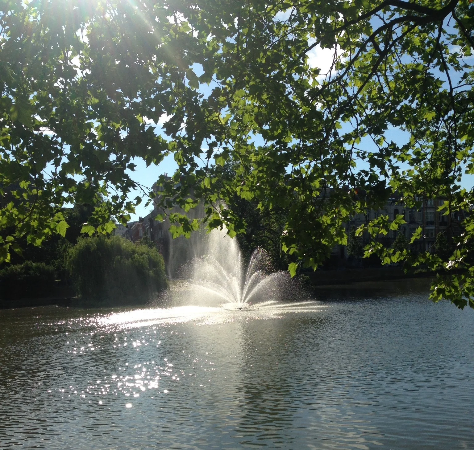 My Beautiful Jogging Route