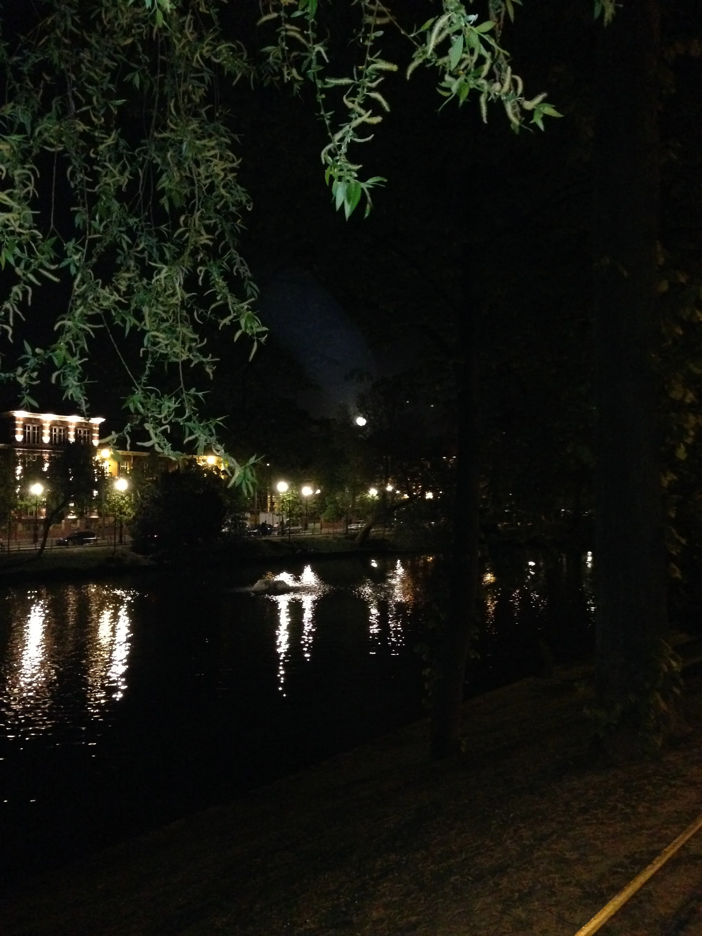 Travel & Knit for Peace!