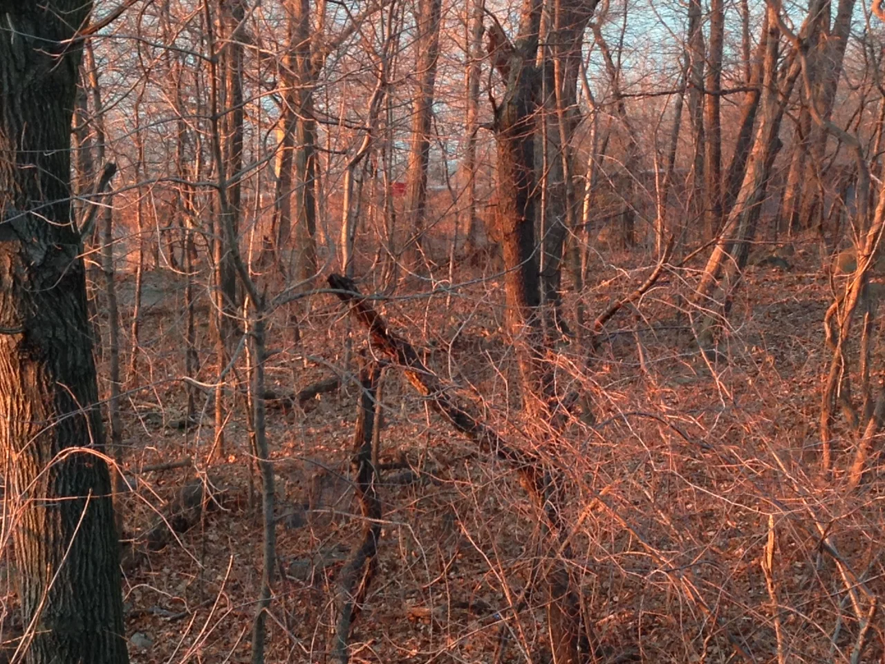 It's cold outside...