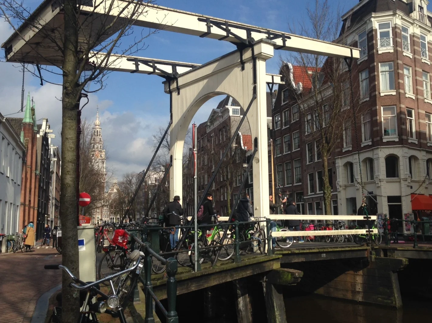 Windows of Amsterdam