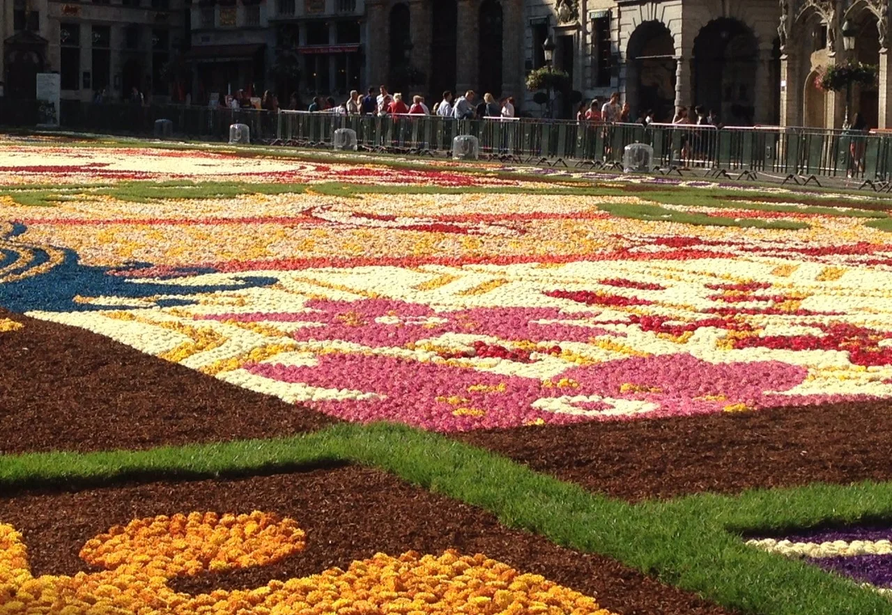 A Carpet of Flowers