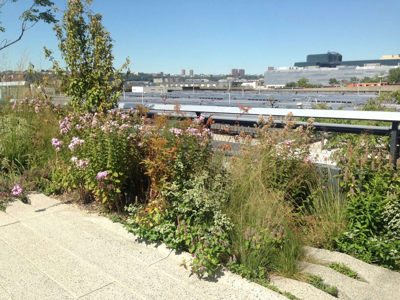 The Walk on the High Line
