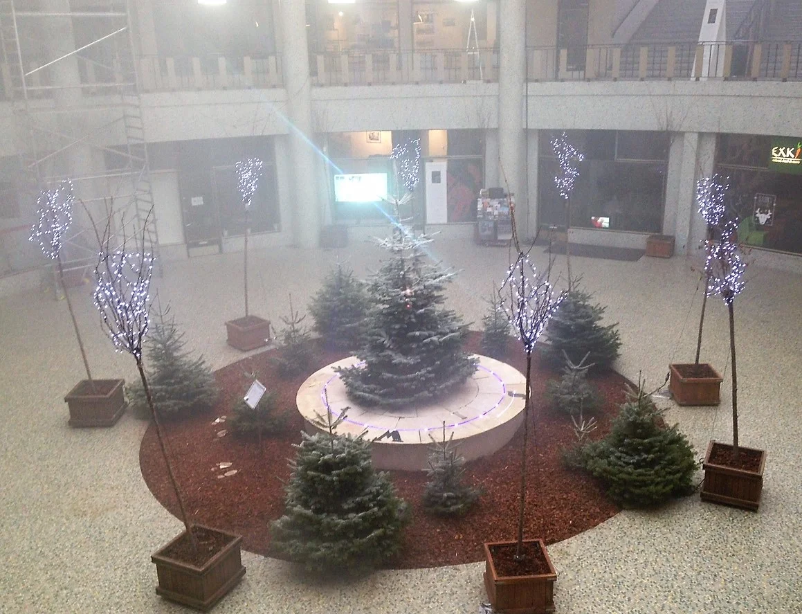 Holiday Greetings with the last Square of the Year