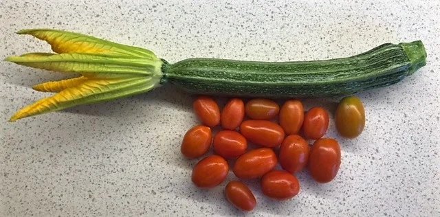 Growing vegetables in my backyard