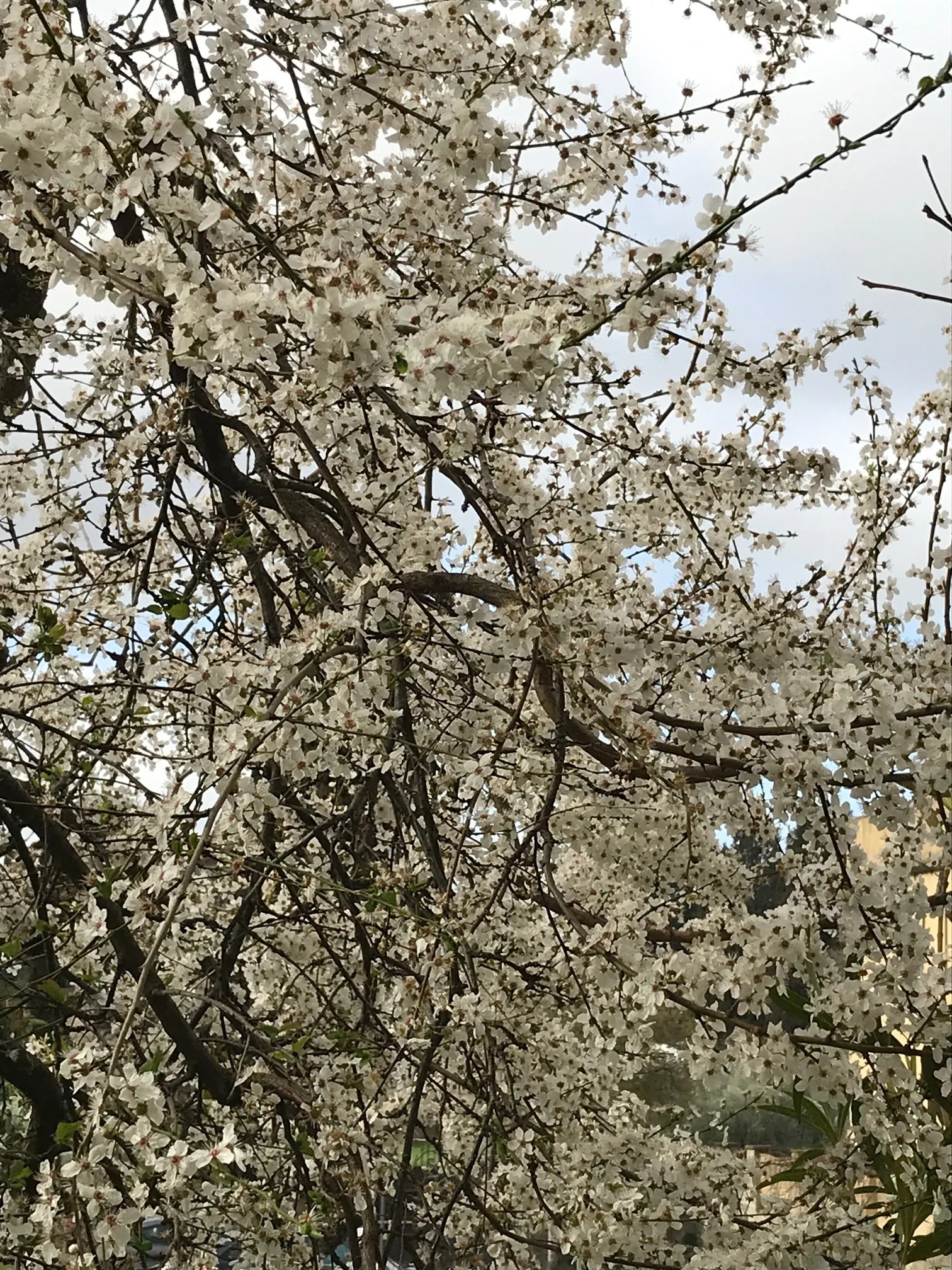 Spring is in the air