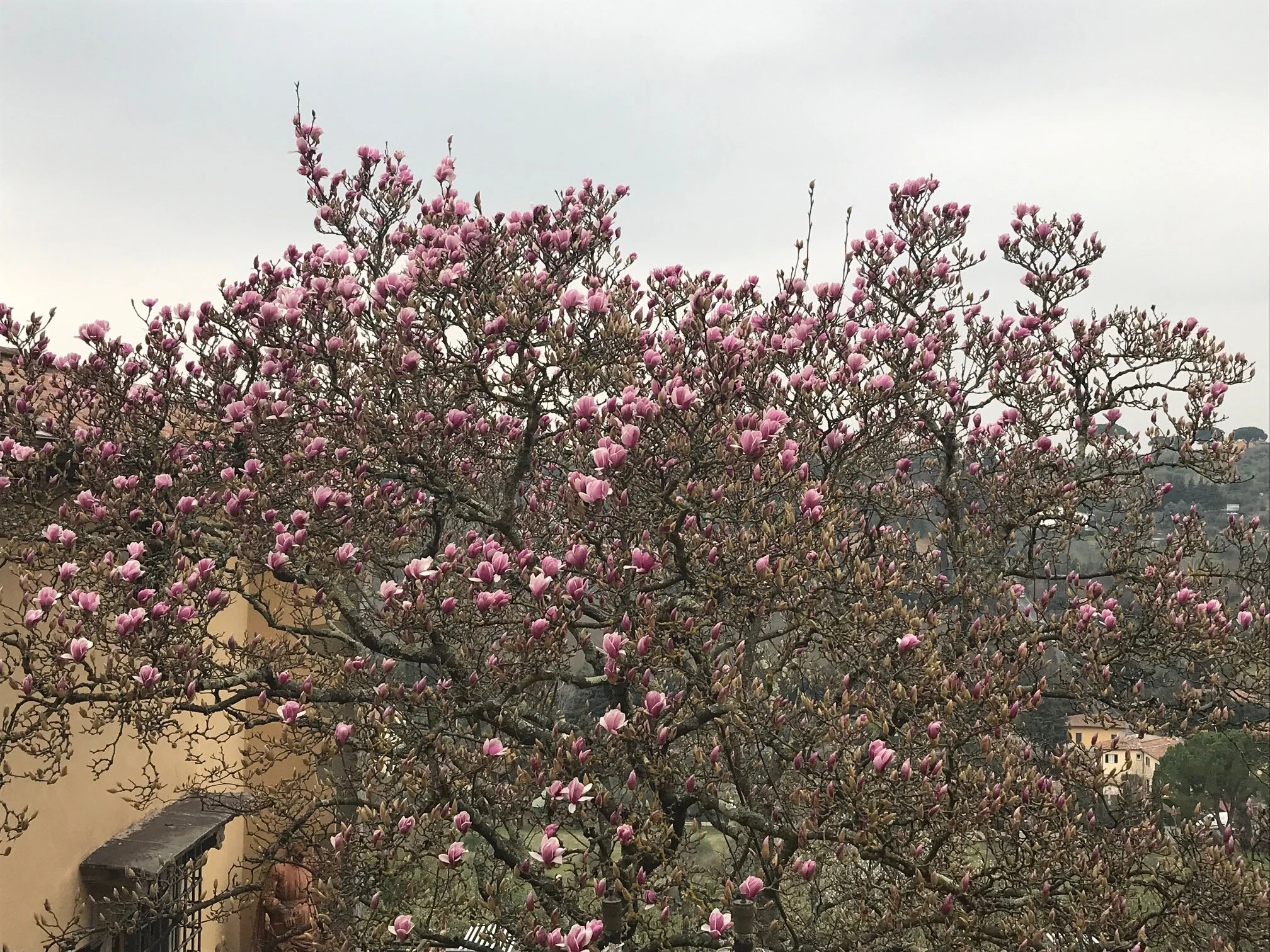 Spring is coming...