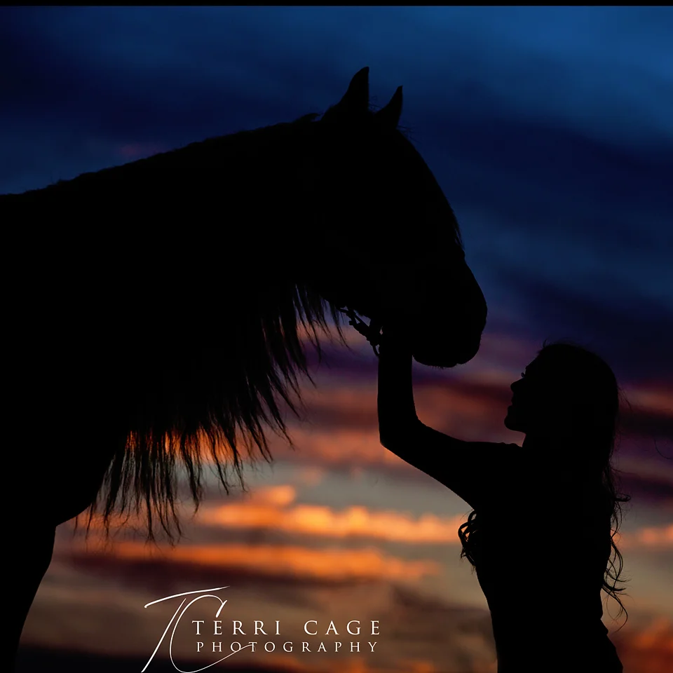 Senior with horse silhouette shot