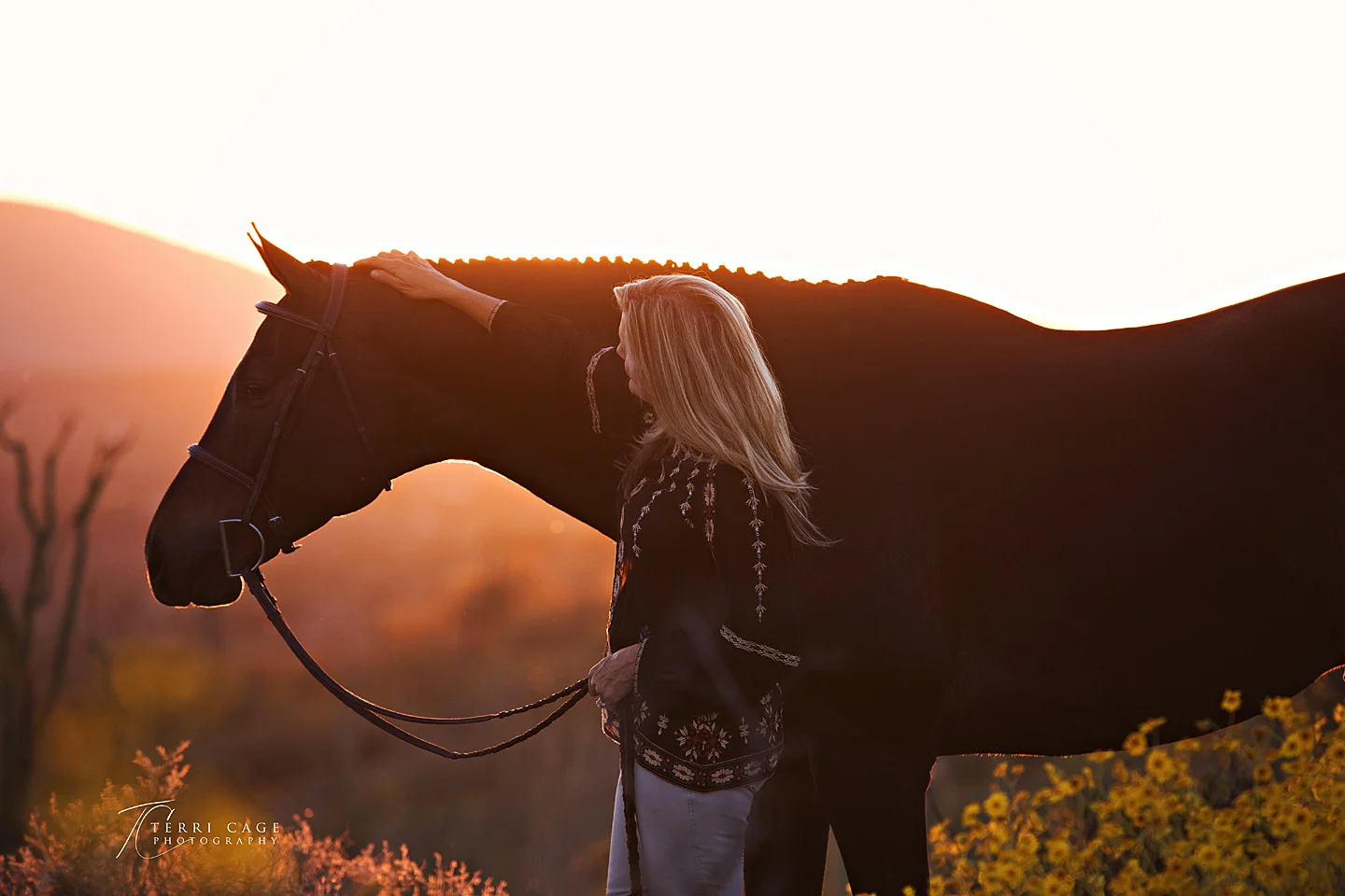  cave creek equine photographer, scottsdale AZ,&nbsp; 