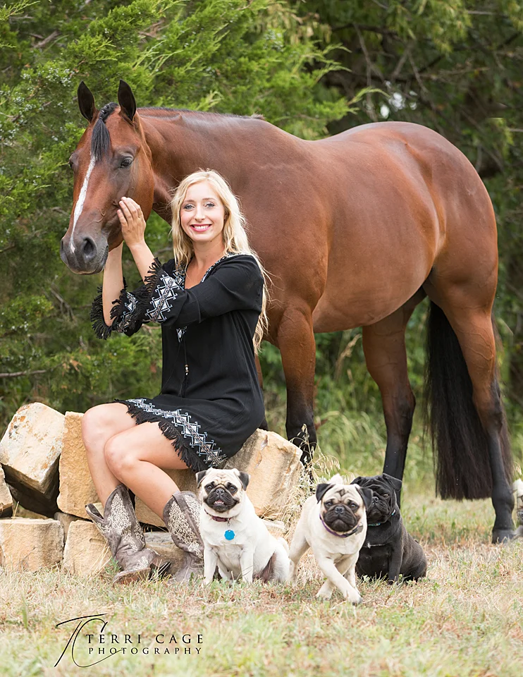  Horse and humans and dogs 