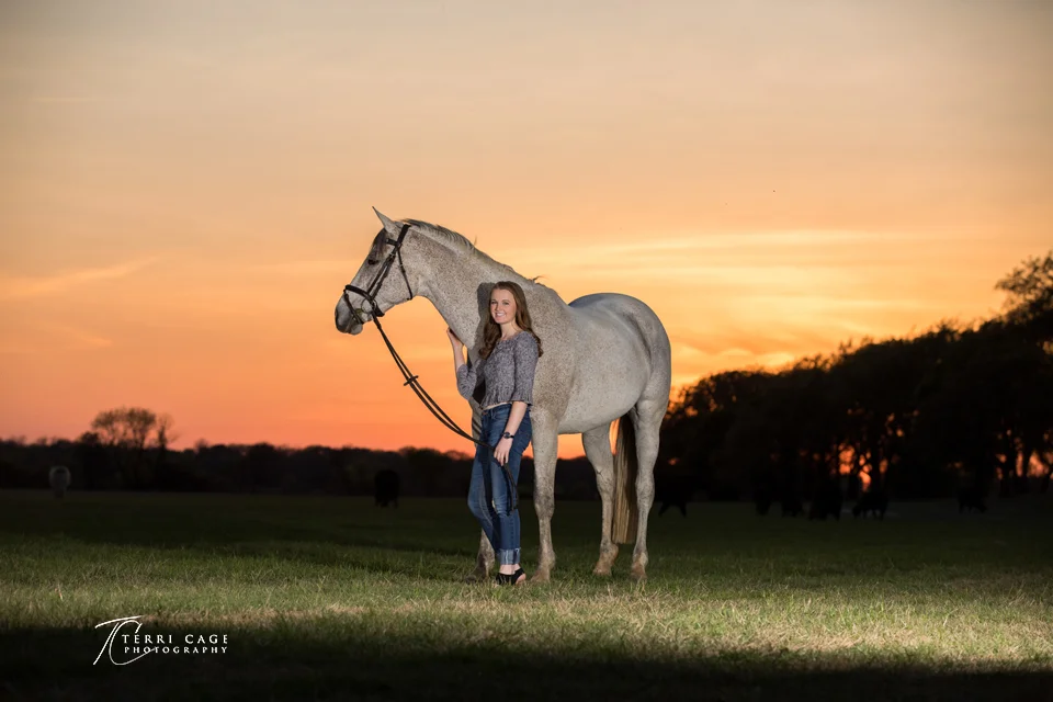 north texas equine photographer.jpg