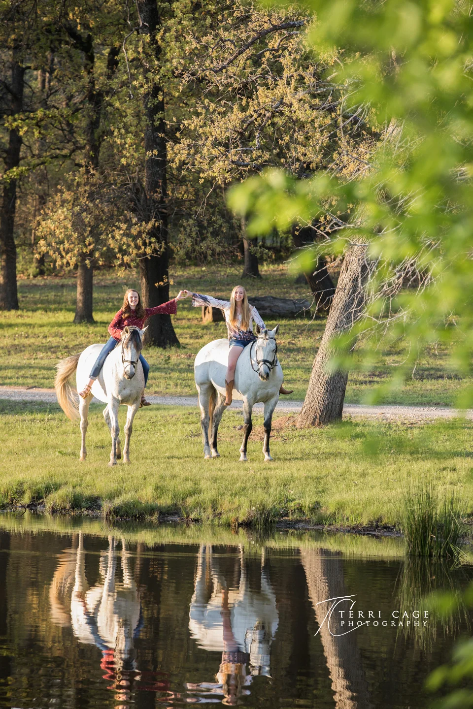 friends and horses
