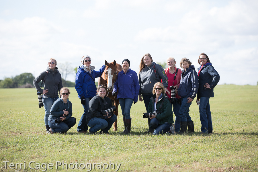 Workshop Group