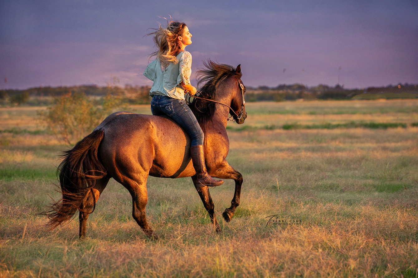 Ride into the Sun 