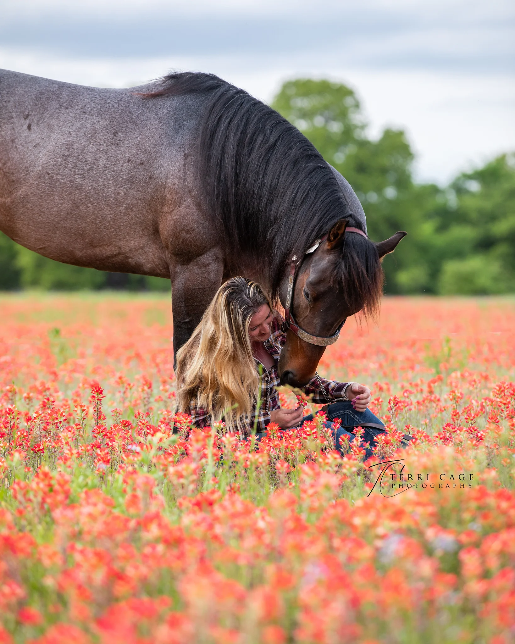 Your Dream Come true