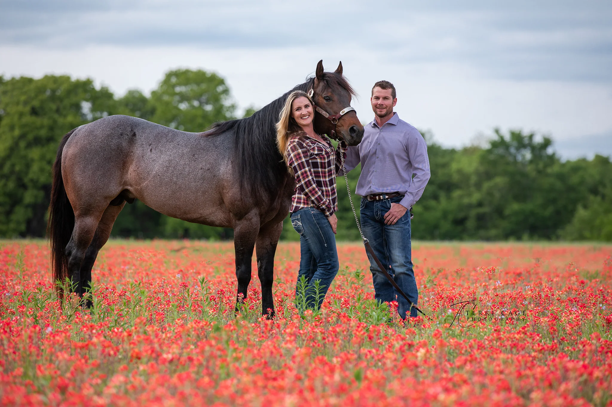 Stallion with his Owners