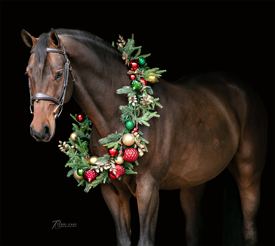 websize eTCP-6674 II.jpg