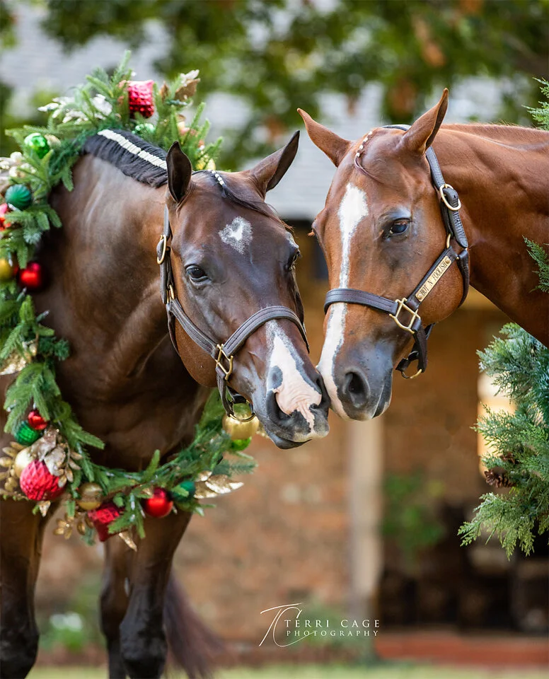 websizeeTCP-0811 (2).jpg