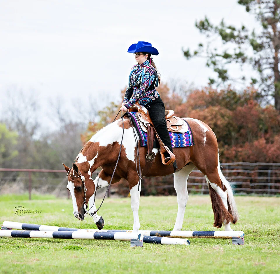 Trail Paint Horse