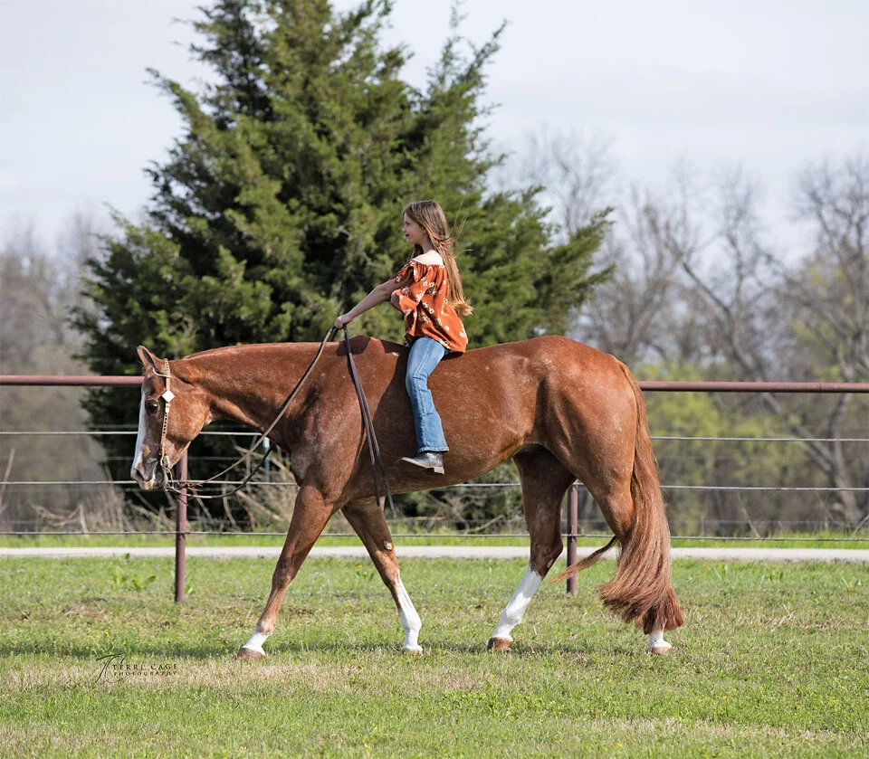 websizeCHS 3-21-5715.jpg