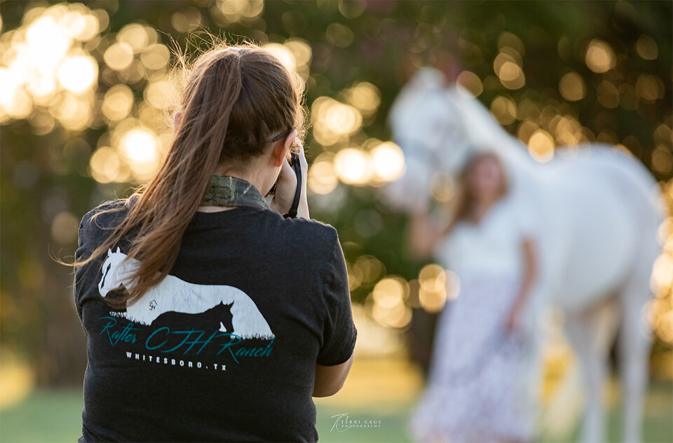 Equine photography mentorship