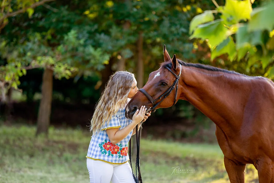north texas equine photographer