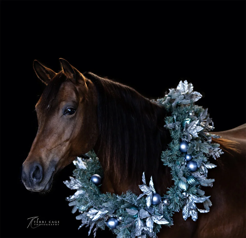 Christmas Wreath Sessions  North Texas Equine Photographer