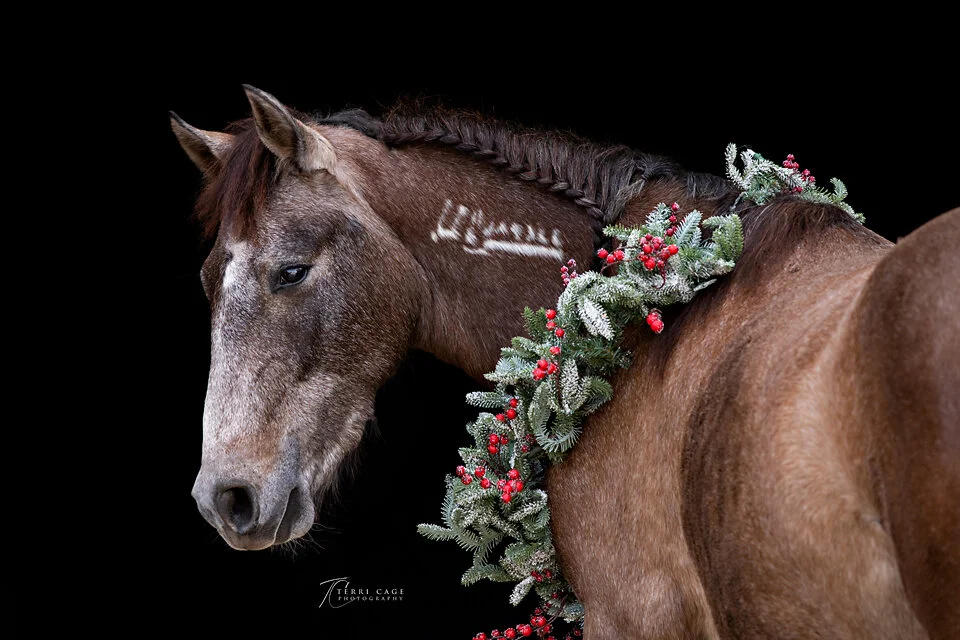 Mustang Christmas Horse