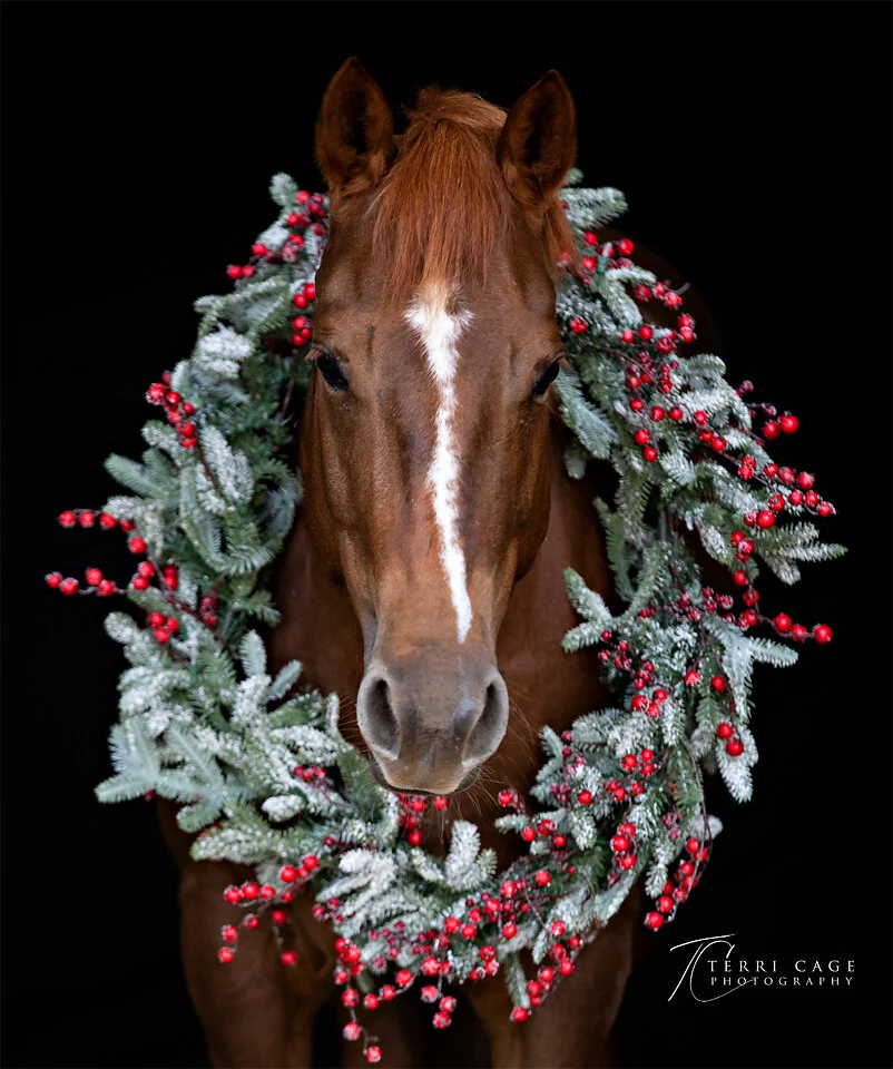 Christmas Horse with Wreath