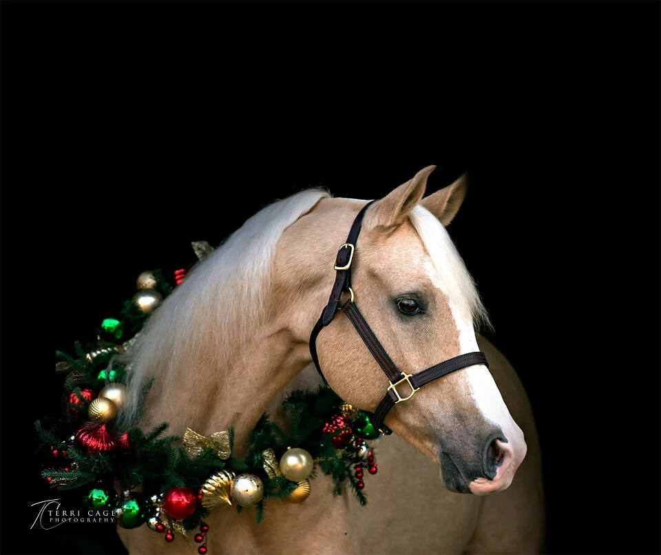 Palomino Horse with Christmas Wreath