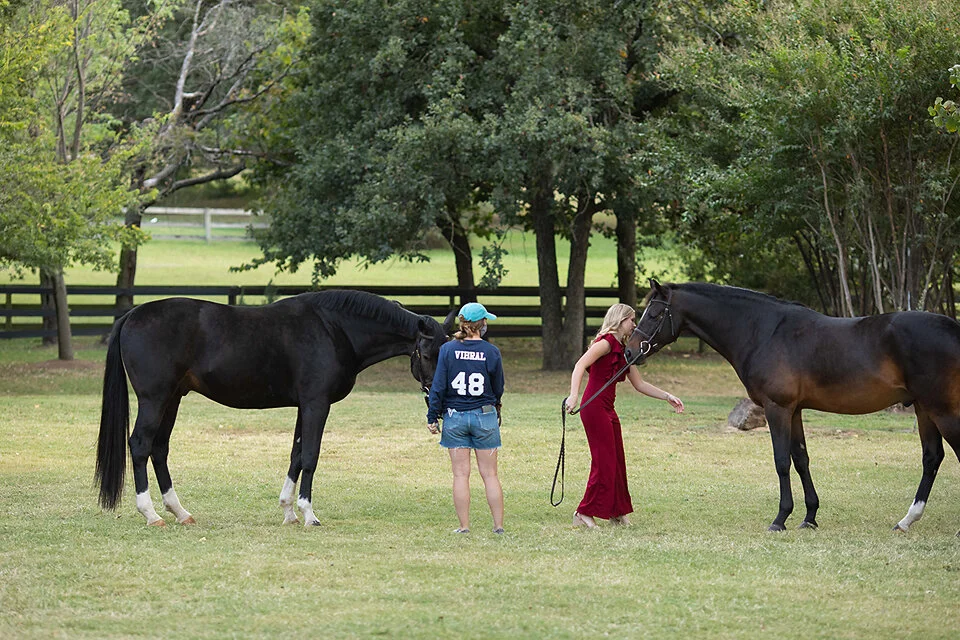 CHS 3-21-20--0502.jpg