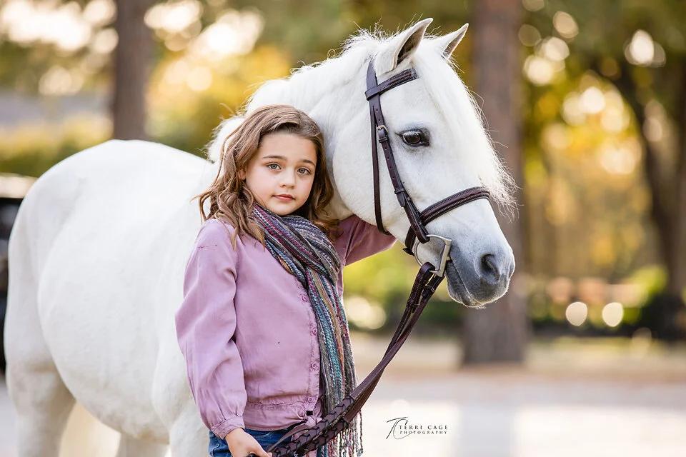 Flower Mound Horse Photographer