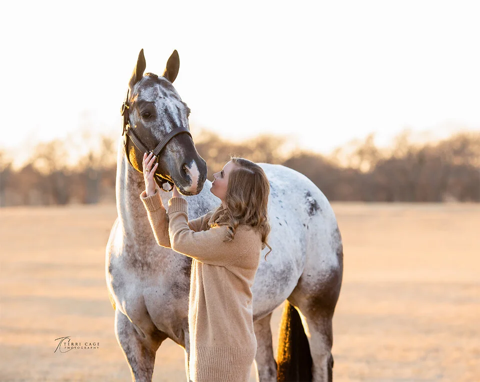 Appaloosa horse Whitesboro Texas