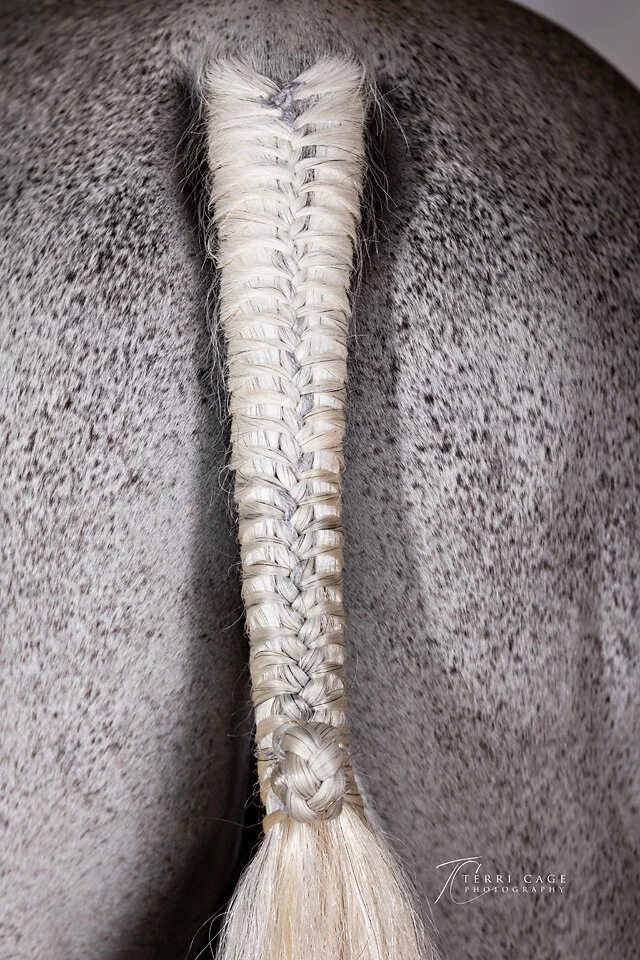 webLS-1169.jpg