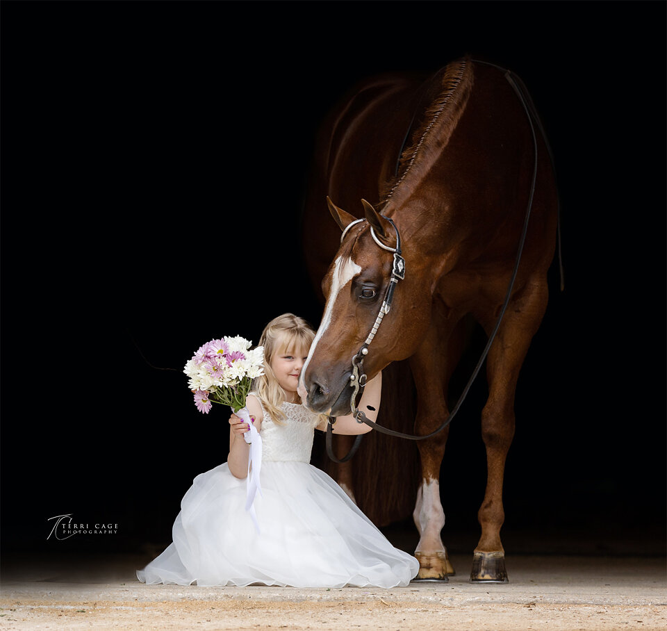 Gentle Stallion with young girl