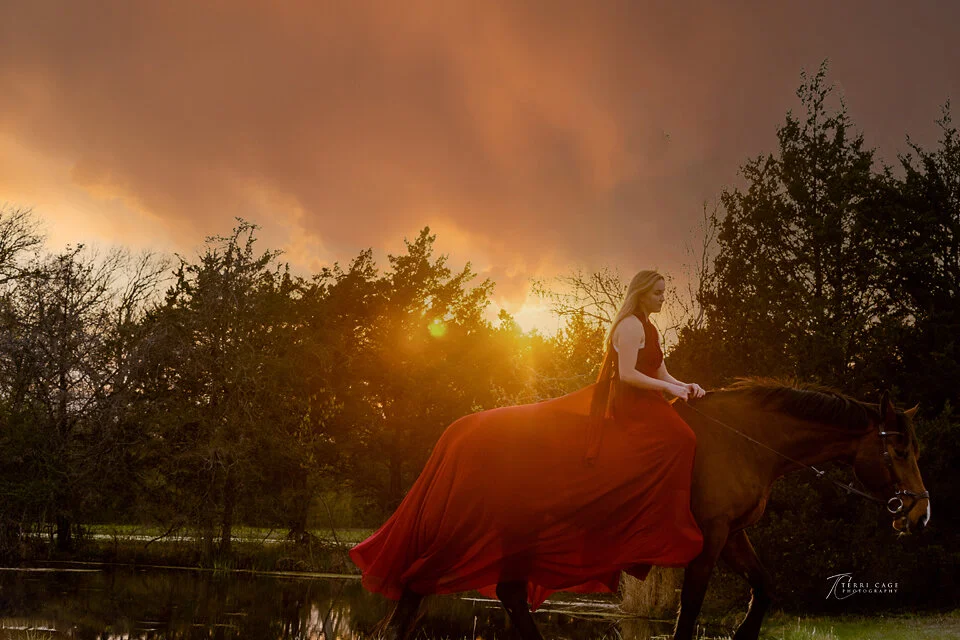 Artistic equestrian photos