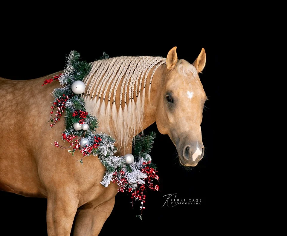 web12-21-6895.jpg