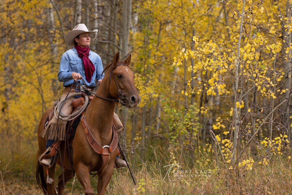 Cowgirl western art