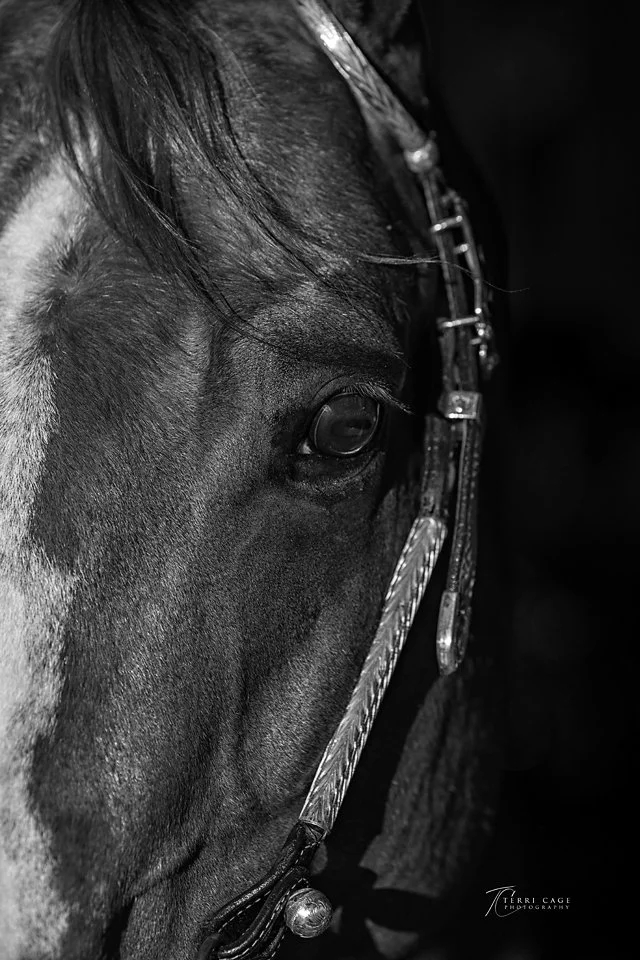 webFR22-0218bw.jpg