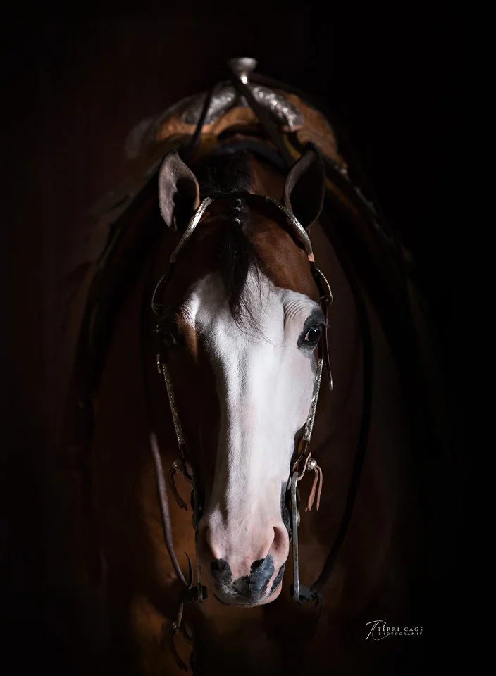 webeTCP-9412 canvas.jpg